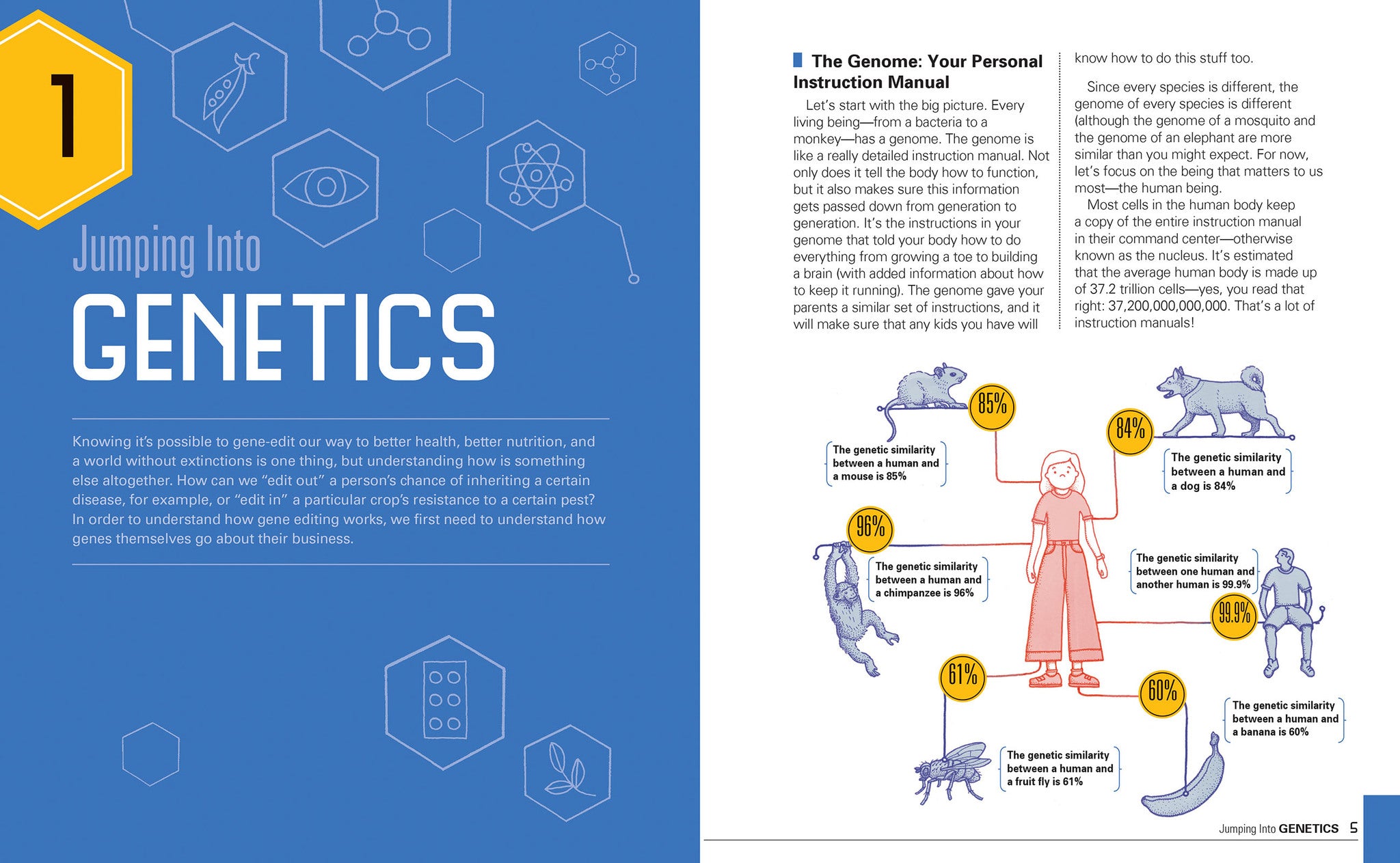 Cover image for CRISPR ISBN 9781773214238